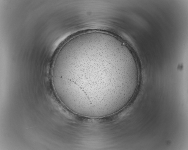 X0000113090875200909182111