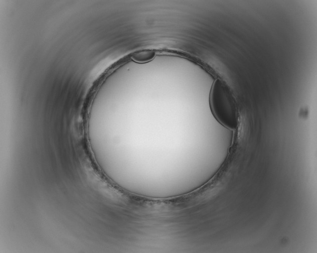 X0000113090876200909182111