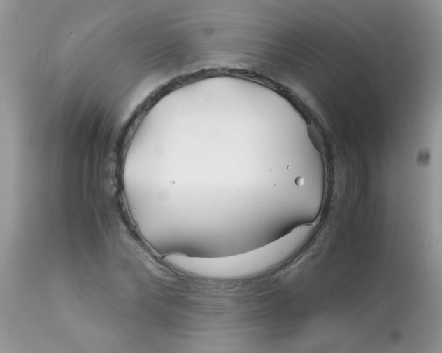 X0000113090878200909182111