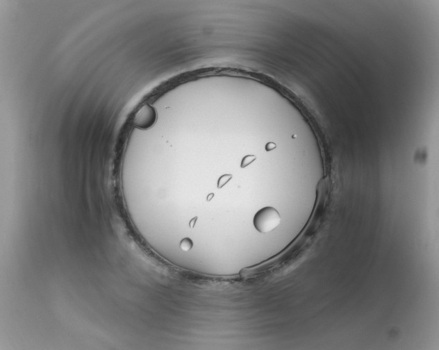 X0000113090880200909182111