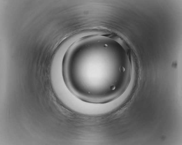 X0000113090881200909182111