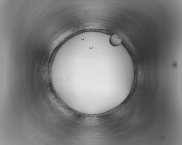 X0000113090882200909182111