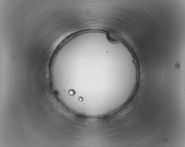 X0000113090883200909182111