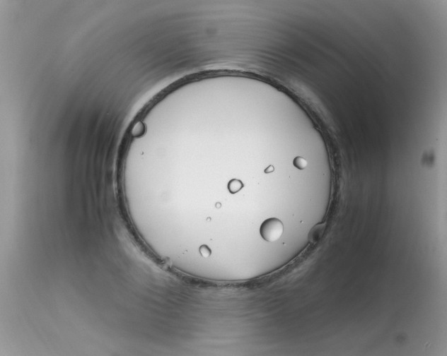 X0000113090884200909182111