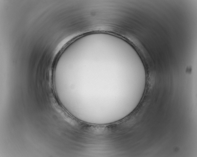 X0000113090886200909182111