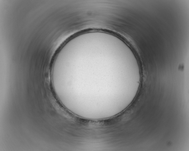 X0000113090887200909182111