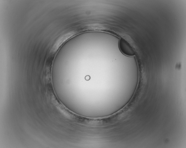 X0000113090889200909182111