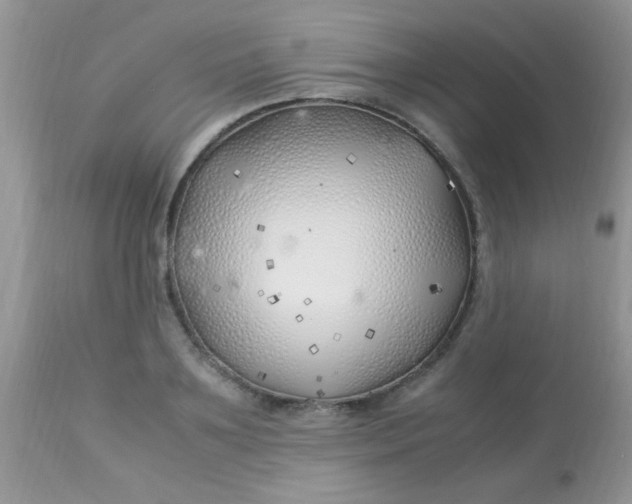 X0000113090891200909182111