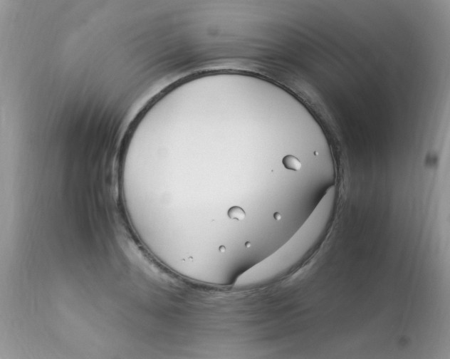 X0000113090892200909182111