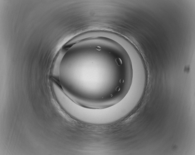 X0000113090893200909182111