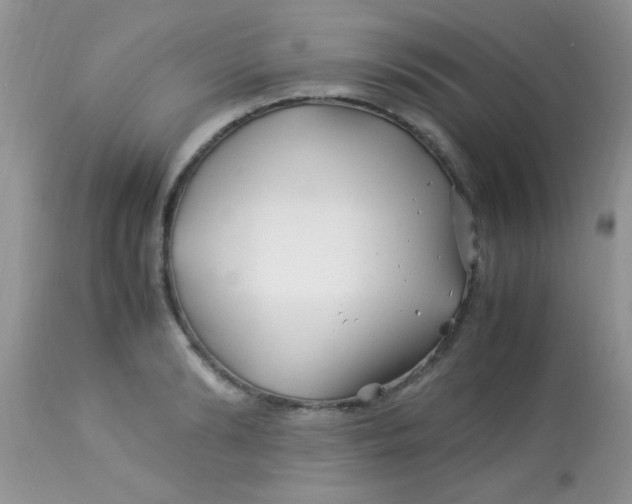 X0000113090894200909182111