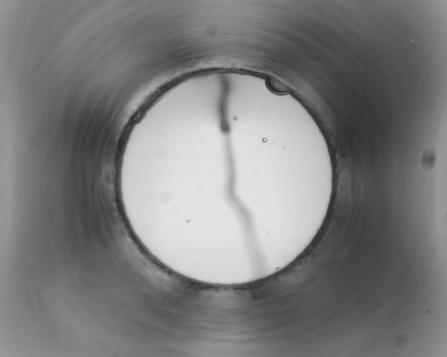 X0000113090896200909182111