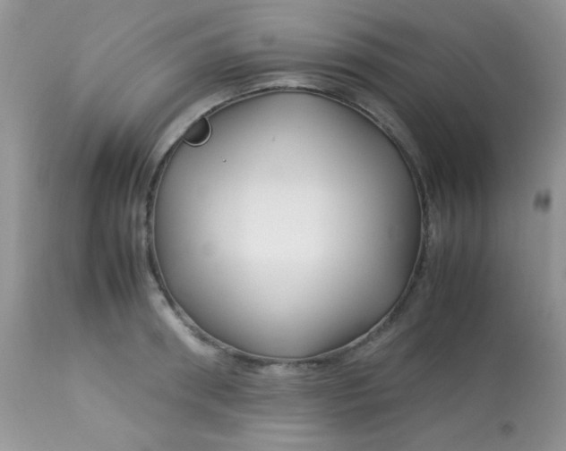 X0000113090898200909182111