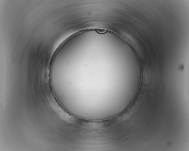 X0000113090900200909182111