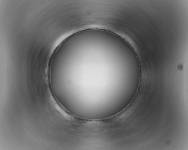 X0000113090902200909182111