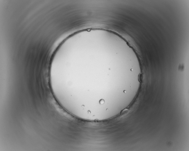 X0000113090904200909182111