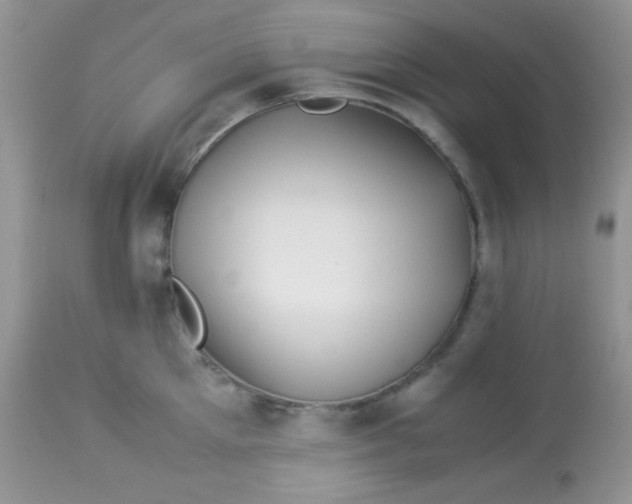 X0000113090905200909182111