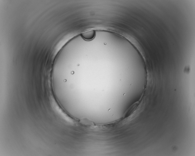 X0000113090906200909182110