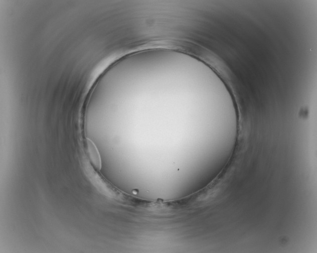 X0000113090907200909182110