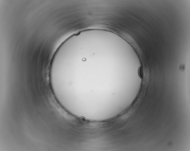 X0000113090908200909182110