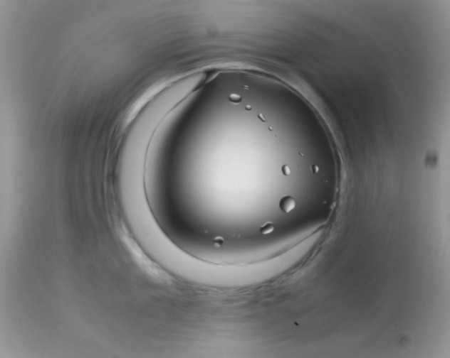 X0000113090909200909182110