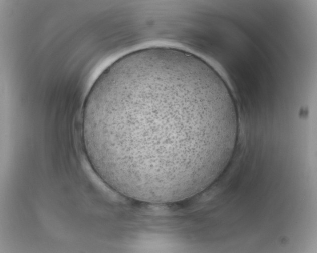 X0000113090911200909182110