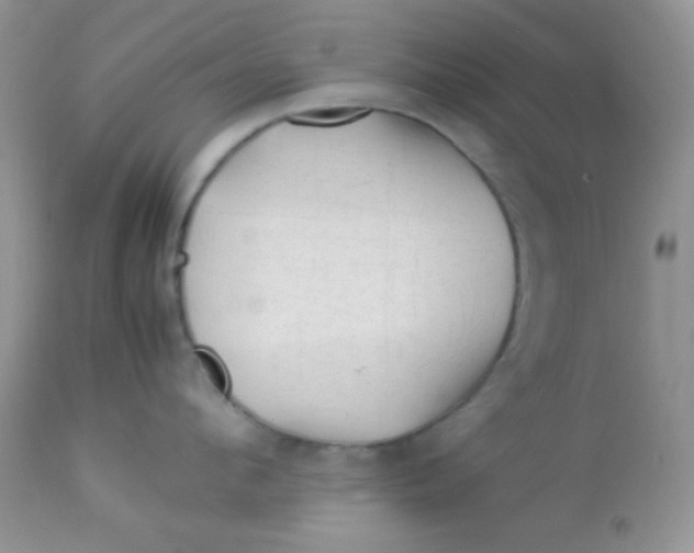 X0000113090912200909182110