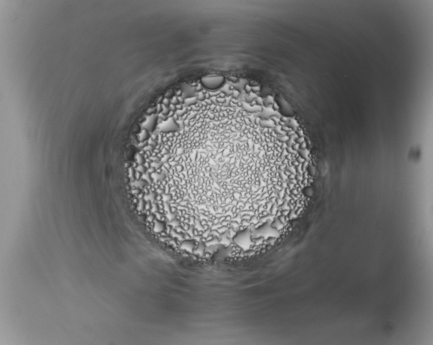 X0000113090913200909182110