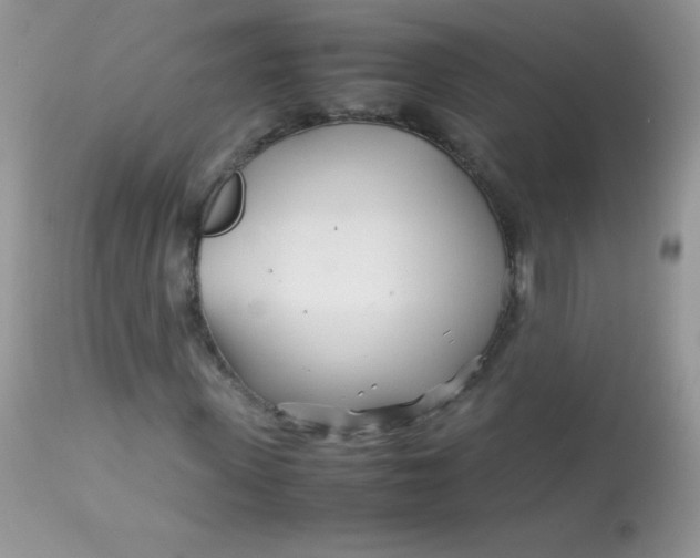 X0000113090915200909182110