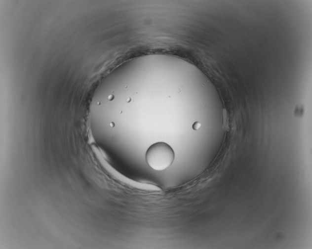 X0000113090916200909182110