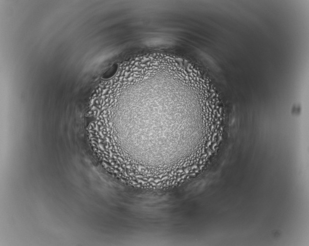 X0000113090917200909182110