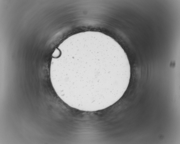 X0000113090918200909182110