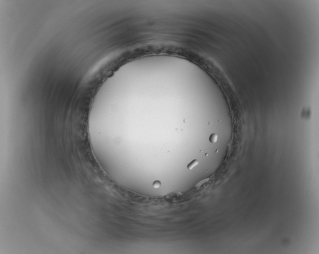 X0000113090919200909182110