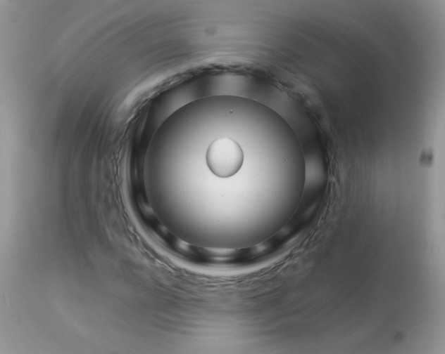 X0000113090920200909182110