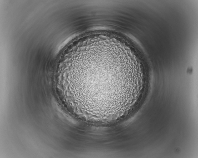 X0000113090921200909182110