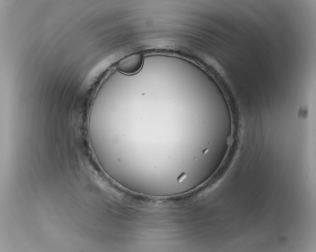 X0000113090922200909182110