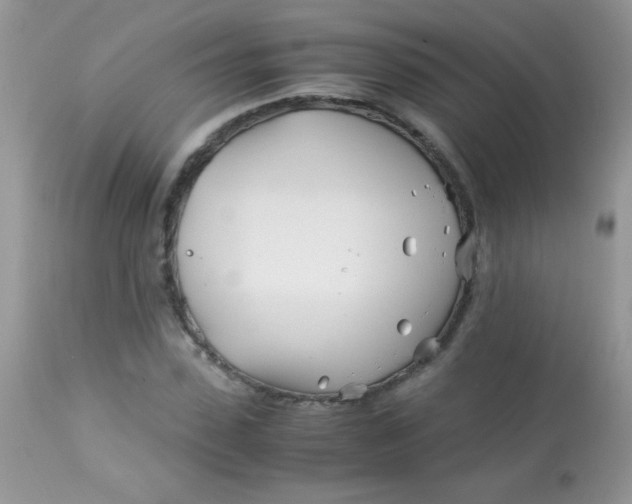 X0000113090923200909182110