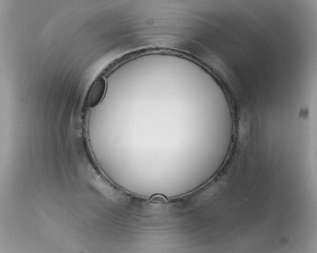 X0000113090924200909182110