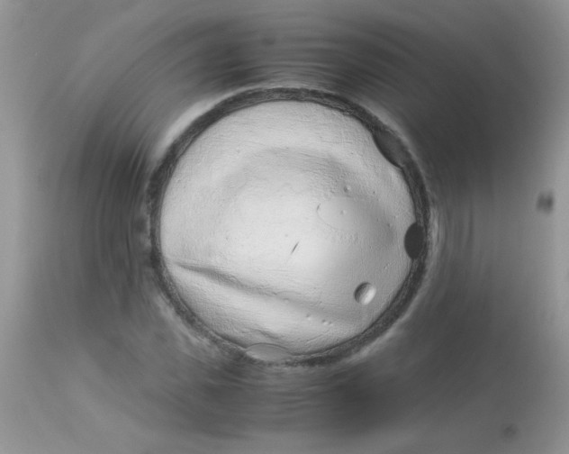 X0000113090925200909182110