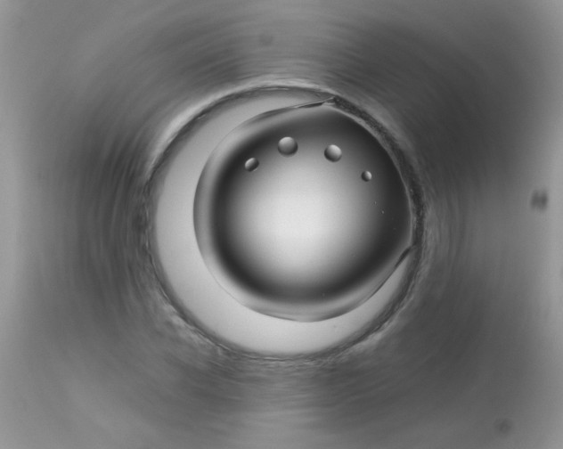 X0000113090926200909182110