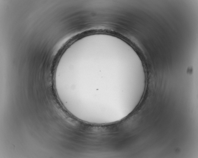 X0000113090927200909182110