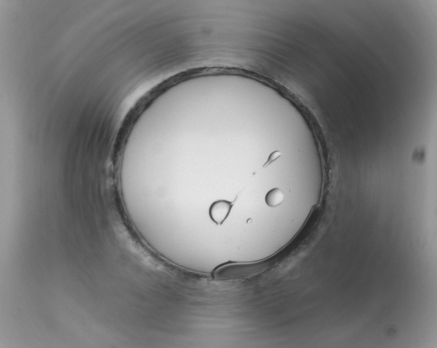 X0000113090928200909182110