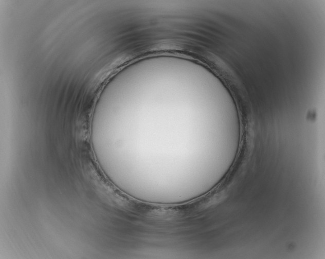 X0000113090929200909182110