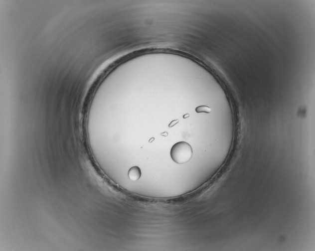 X0000113090932200909182110