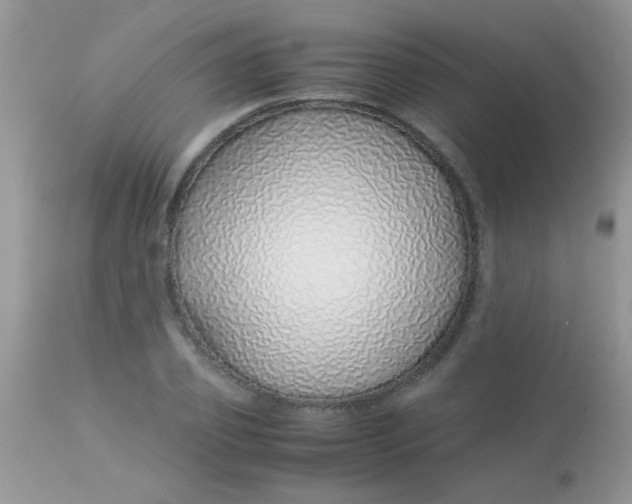 X0000113090933200909182110