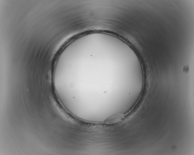 X0000113090934200909182110