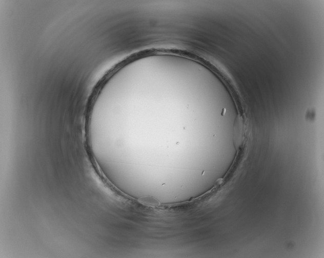 X0000113090935200909182110