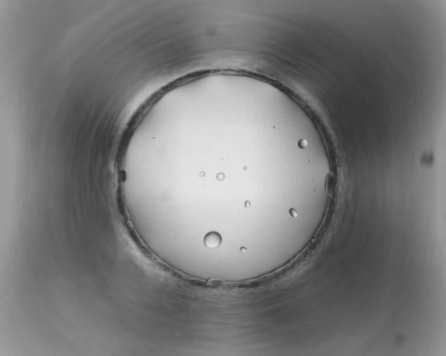 X0000113090936200909182110