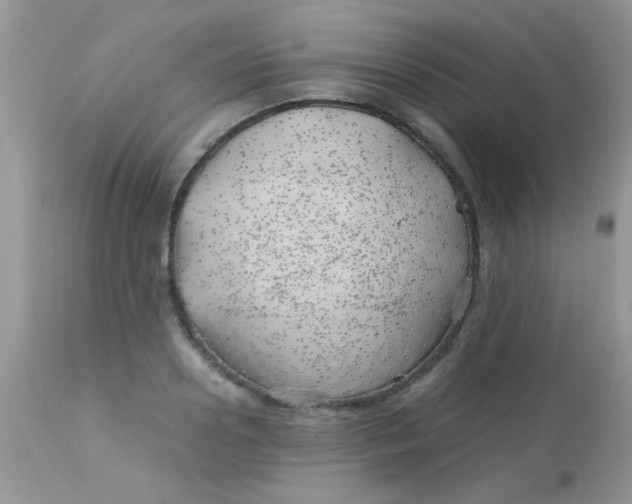 X0000113090938200909182110