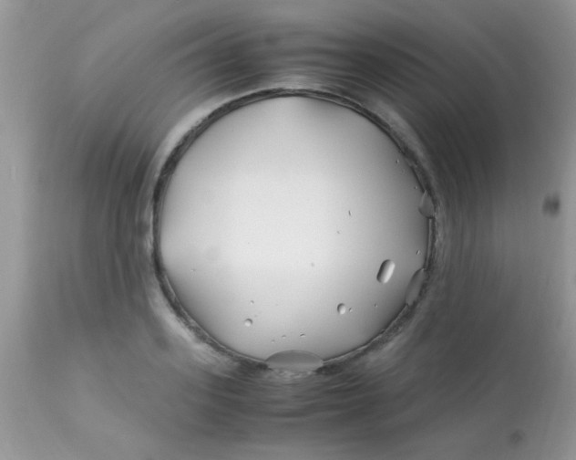 X0000113090939200909182110